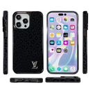 Lou Color iPhone Case